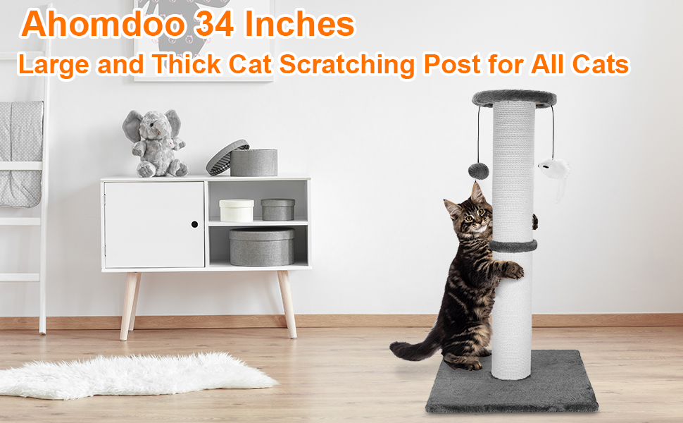 cat scratching post