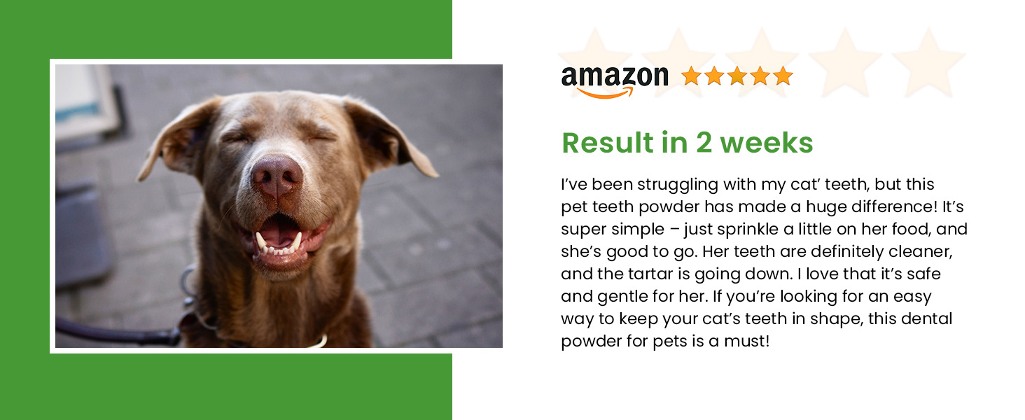 pet dental powder