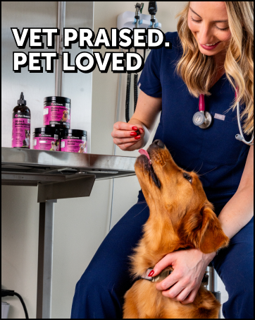 dog fish oil