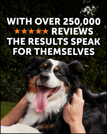 dog coat supplement