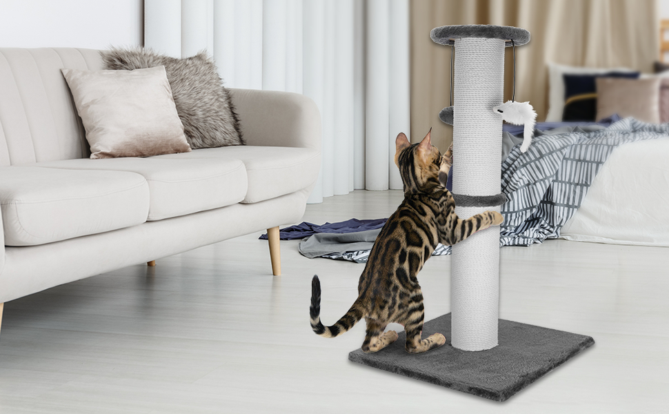 cat scratching post tall