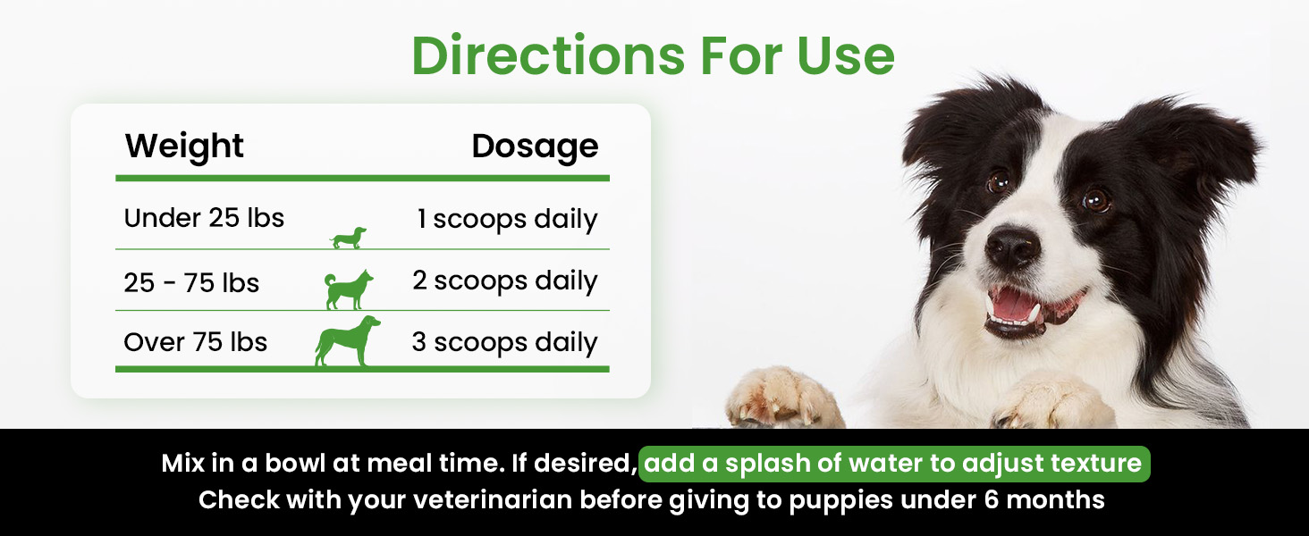 prodenta for dogs teeth