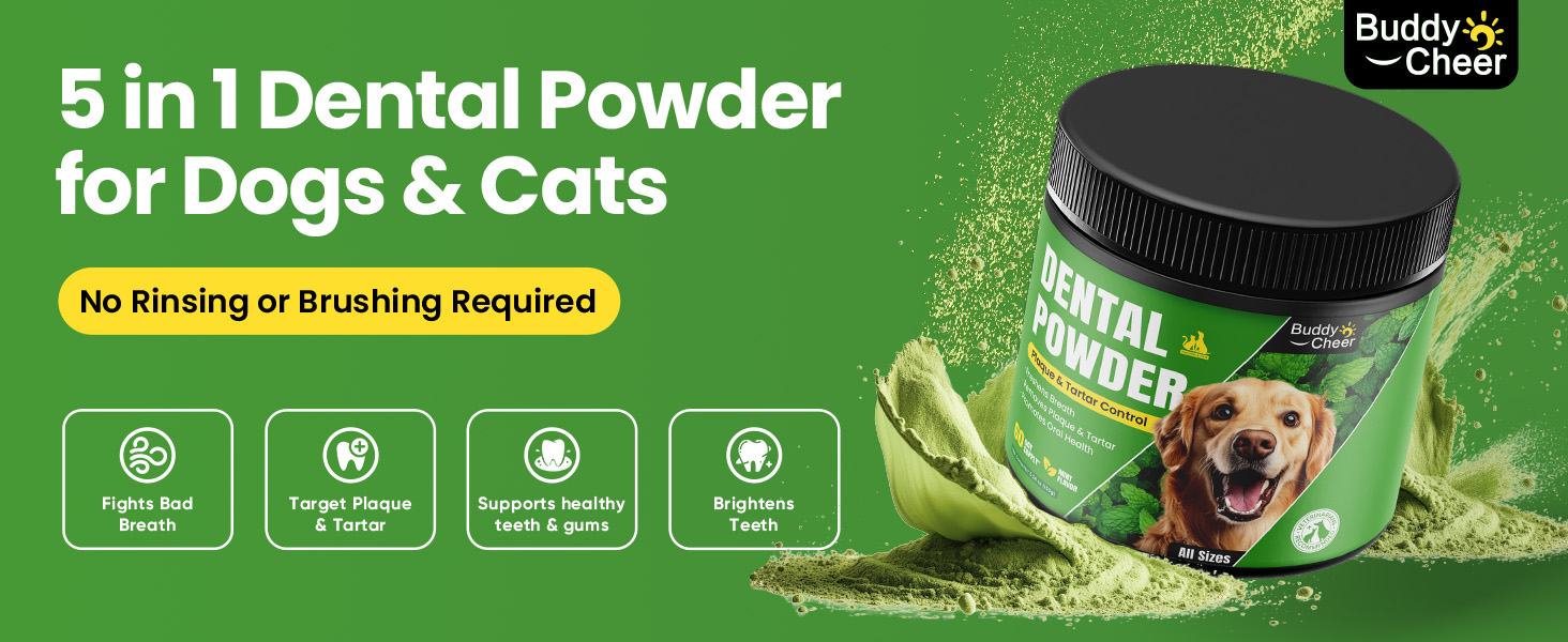 dog teeth cleaning powder