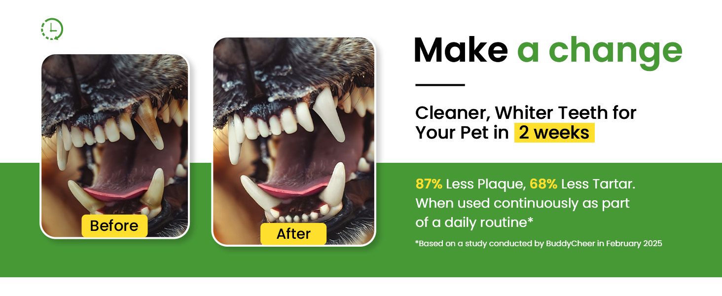 pet honesty dental powder