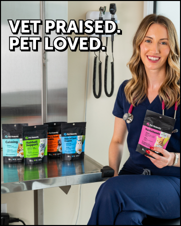 cat supplement