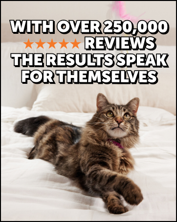uti support for cats