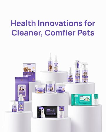 eye infection treatment for dogs