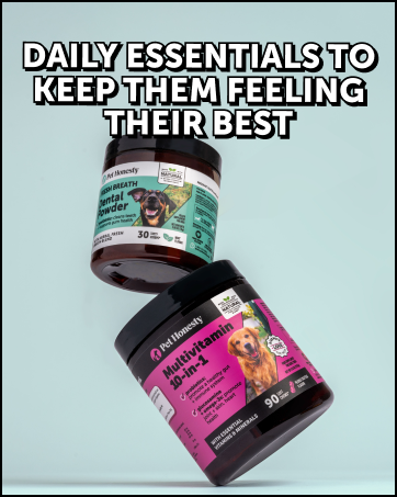 dental powder for dogs