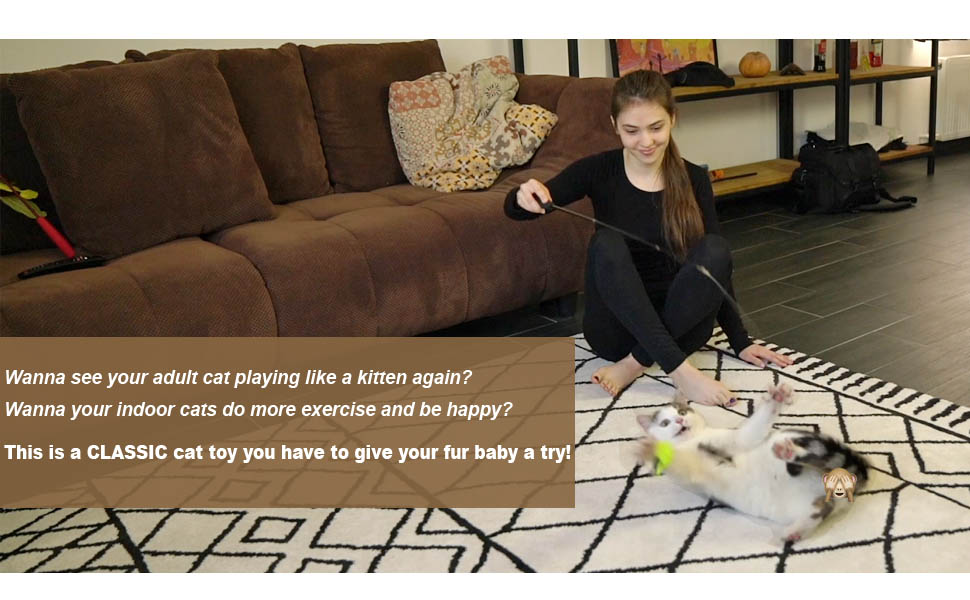 This is a CLASSIC cat toy you have to give your fur baby a try!