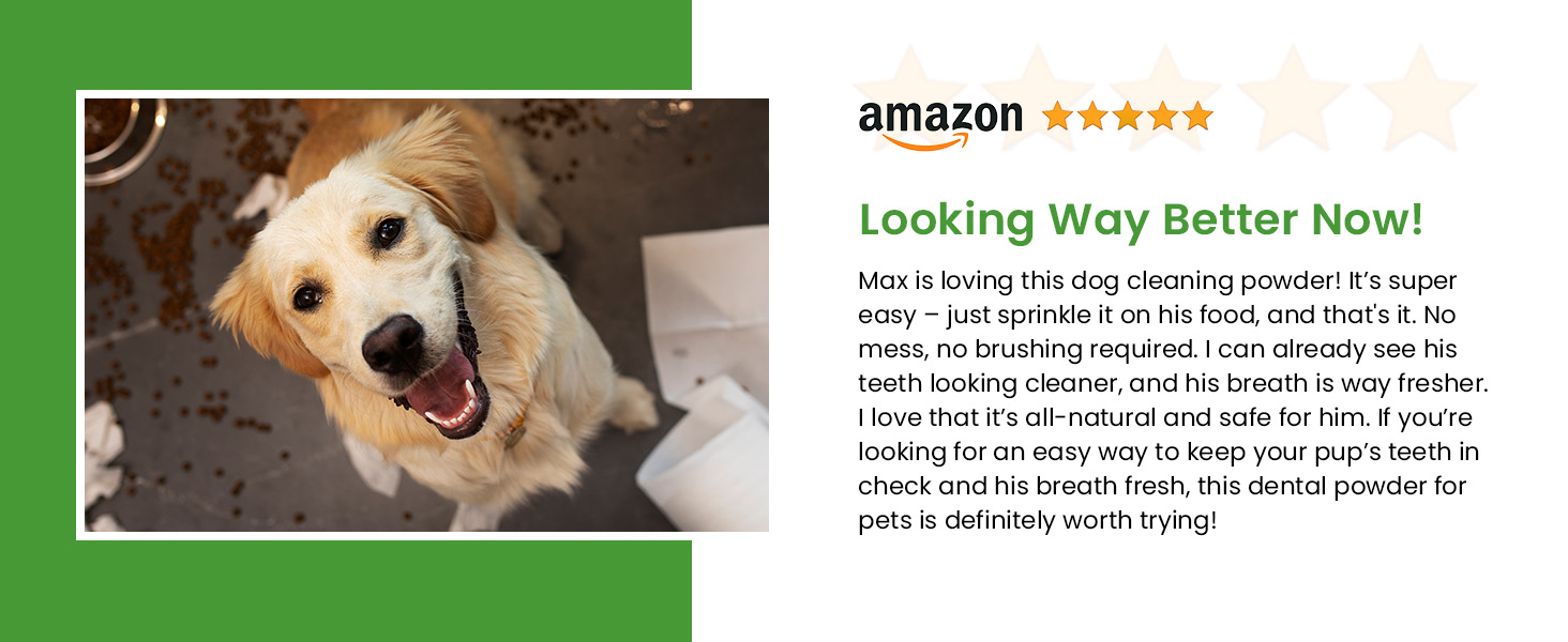 dental powder for dogs teeth