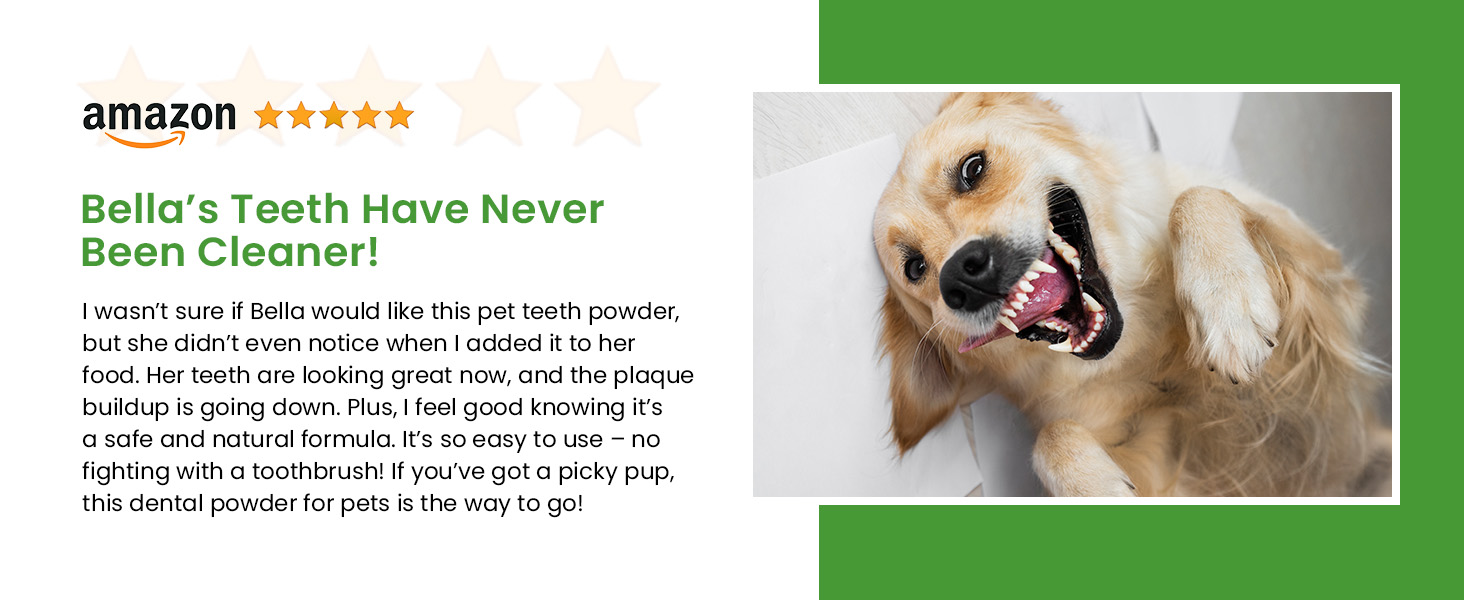 dog dental care