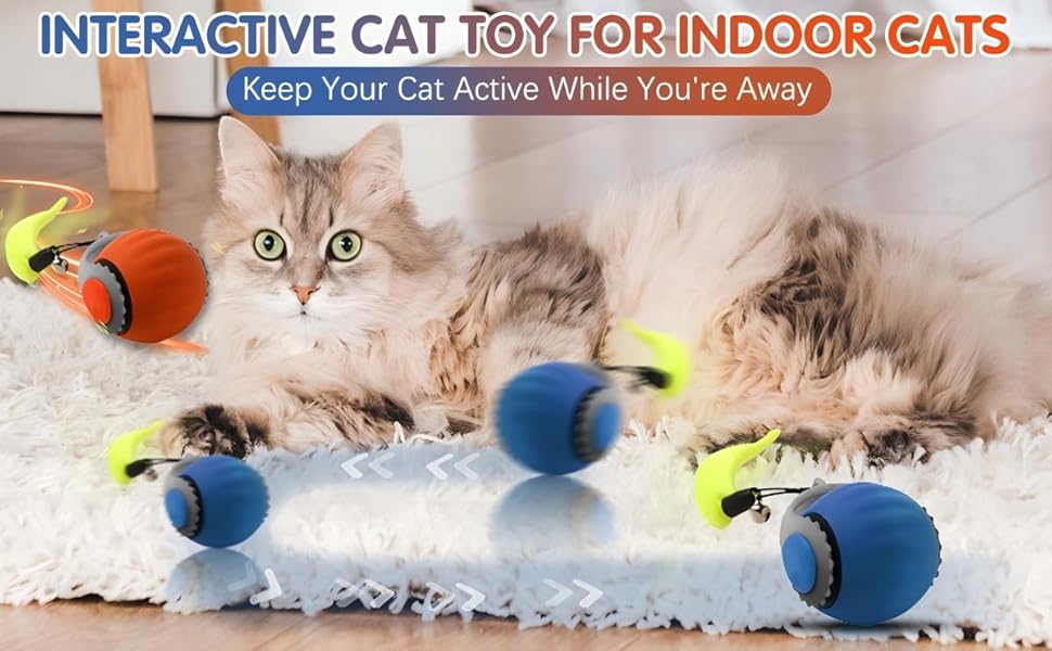 stimulating cat toys，toys for cats，cat interactive toys，kitty toys for indoor cats