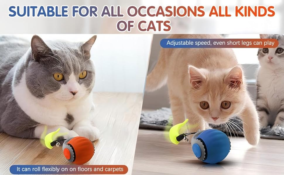 cat toys for indoor cats best sellers，cat enrichment toys for indoor cats