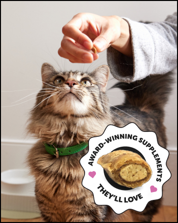 multivitamins for cats