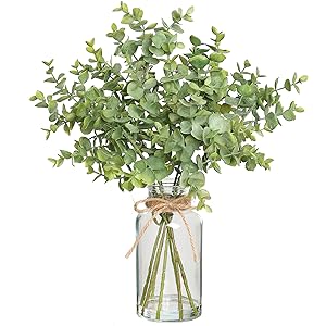 Fake Eucalyptus
