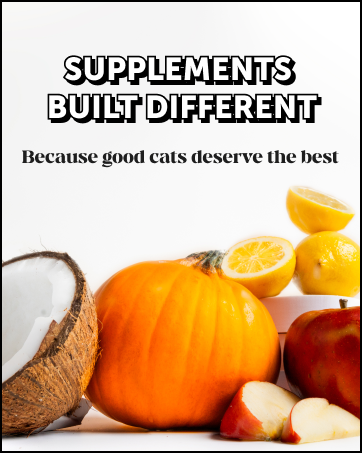cat supplements