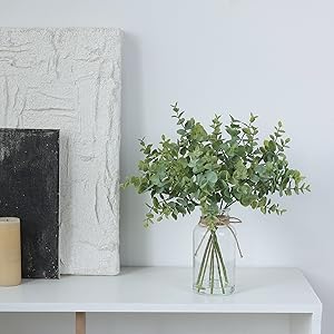 Fake Eucalyptus