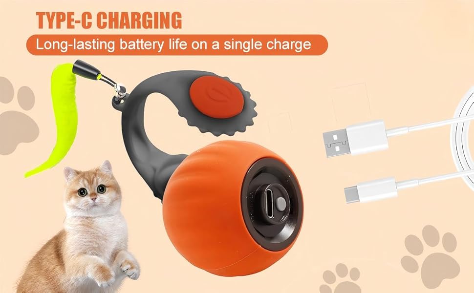 cat toys，cat toy，cat toys for indoor cats，interactive cat toy，interactive cat toys