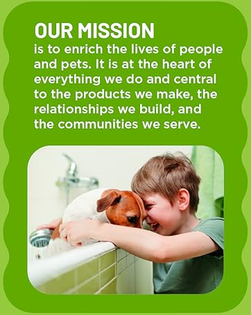 mission statement