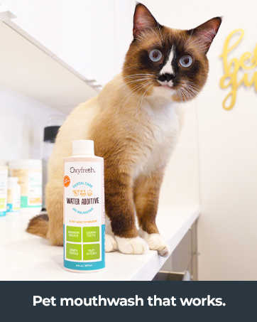 Oxyfresh pet water additive is a dog and cat mouthwash that works for fast fresh breath clean teeth