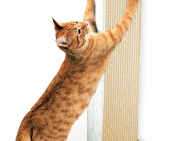 1747115210_61LsnH5NpzL._AC_SL1500_.jpg 1747115210_61LsnH5NpzL._AC_SL1500_.jpg