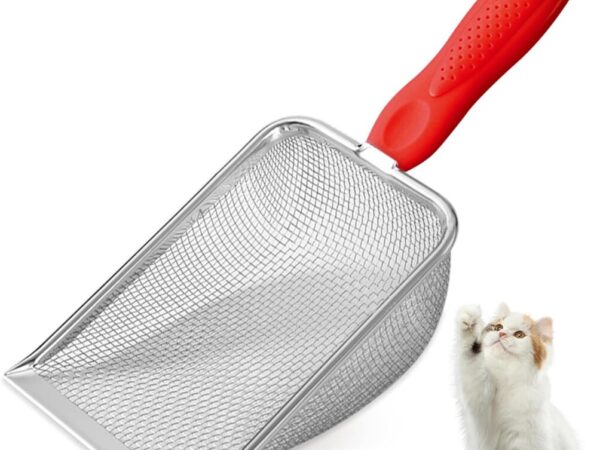 1747119352_71j-PtewqlL._AC_SL1500_.jpg 1747119352_71j-PtewqlL._AC_SL1500_.jpg