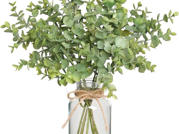 1747284030_71uIr2RR6JL._AC_SL1500_.jpg 1747284030_71uIr2RR6JL._AC_SL1500_.jpg