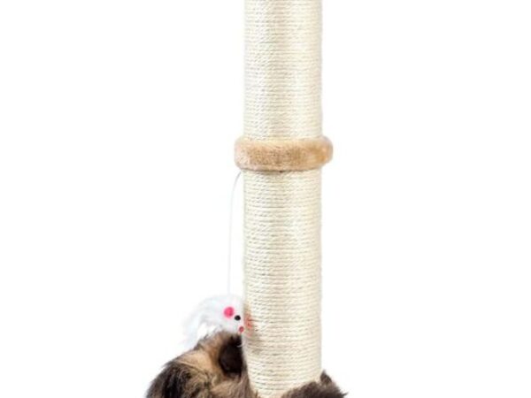 61Yep8sdbL._AC_SL1500_.jpg 61Yep8sdbL._AC_SL1500_.jpg