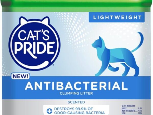 71GvVEVPfL._AC_SL1500_.jpg 71GvVEVPfL._AC_SL1500_.jpg