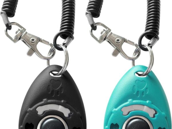 81Z2HP0YVL._AC_SL1500_.jpg 81Z2HP0YVL._AC_SL1500_.jpg